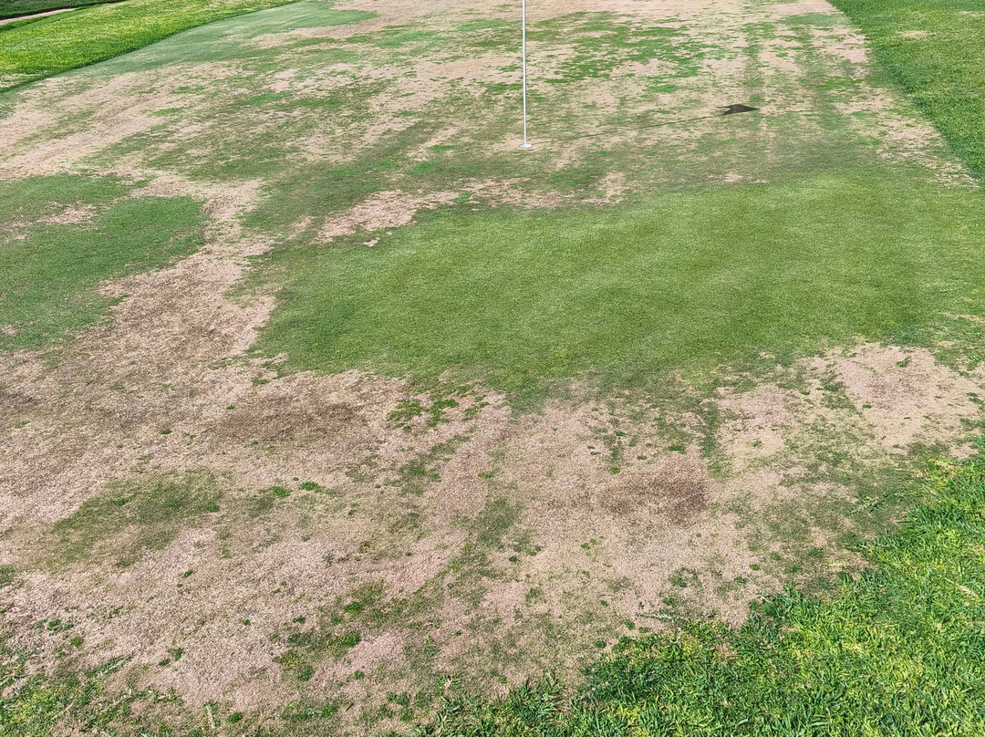 Jandia Golf Course-Morro del Jable必去景点