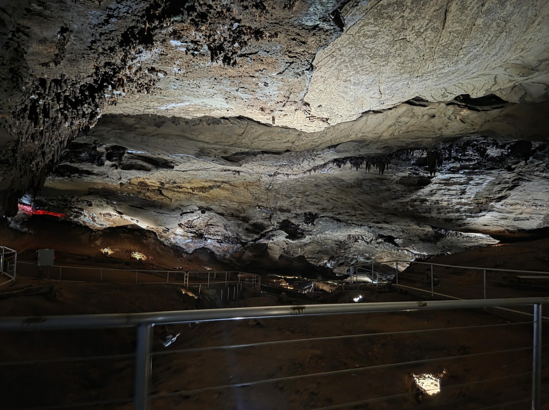 The Lost Sea Adventure-Sweetwater必去景点