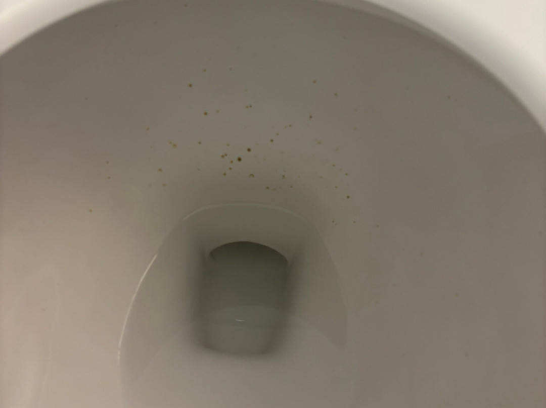 Comfort Suites Fort Wayne - Southwest主图