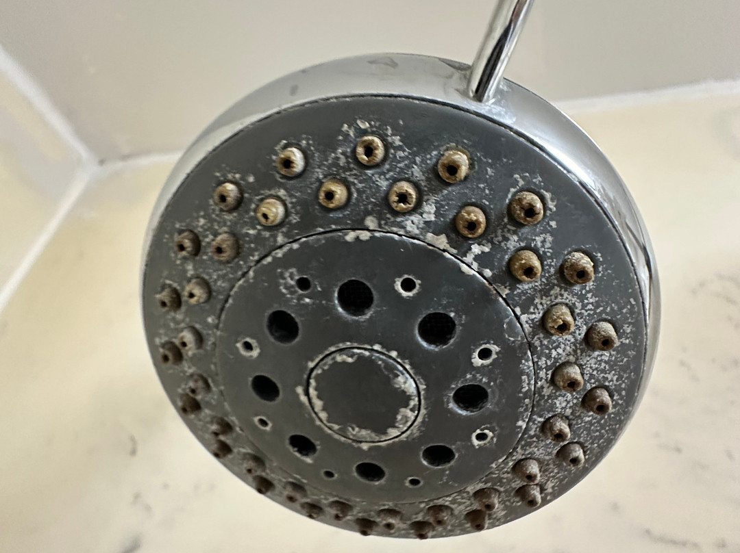 Super 8 by Wyndham Knoxville West/Farragut主图