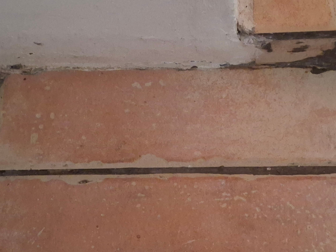 Olive Tree Farm主图