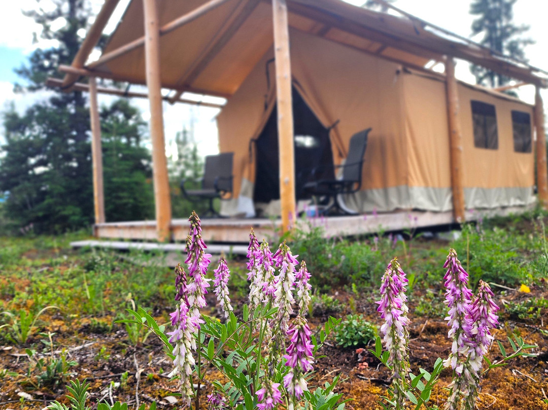 Camp McCarthy