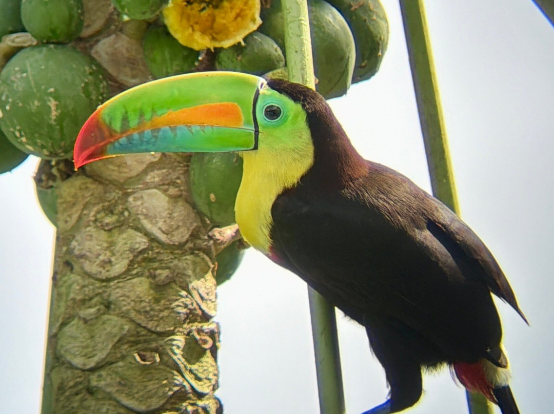 Panama Road Trips-巴拿马城必去景点