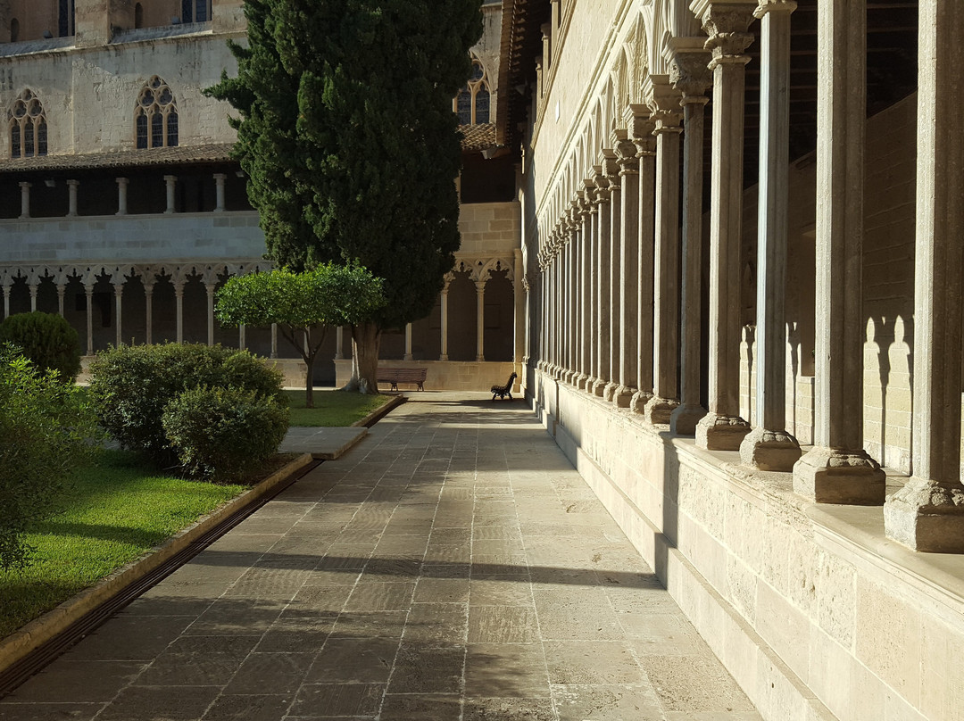 Reial Covent De Sant Francesc-马洛卡帕尔马必去景点