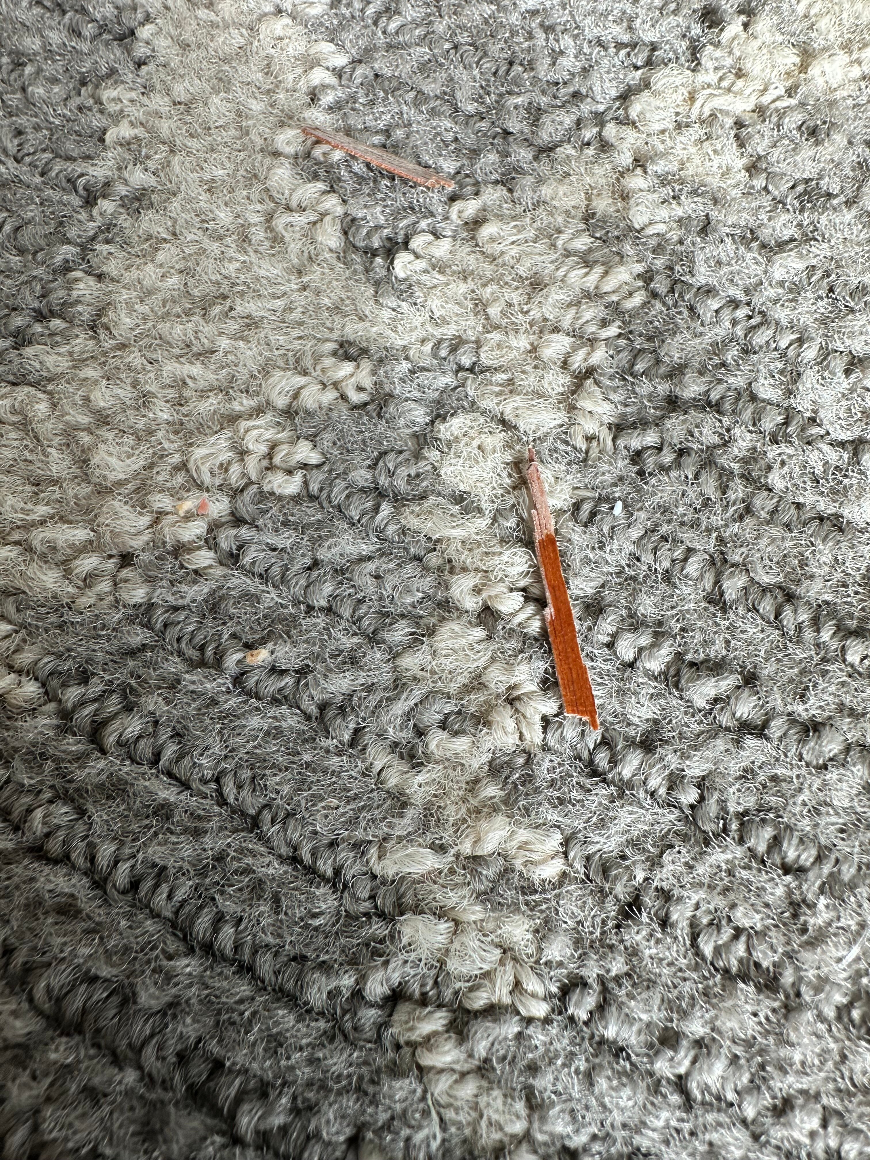 海湾亚特兰蒂斯精选酒店-官方