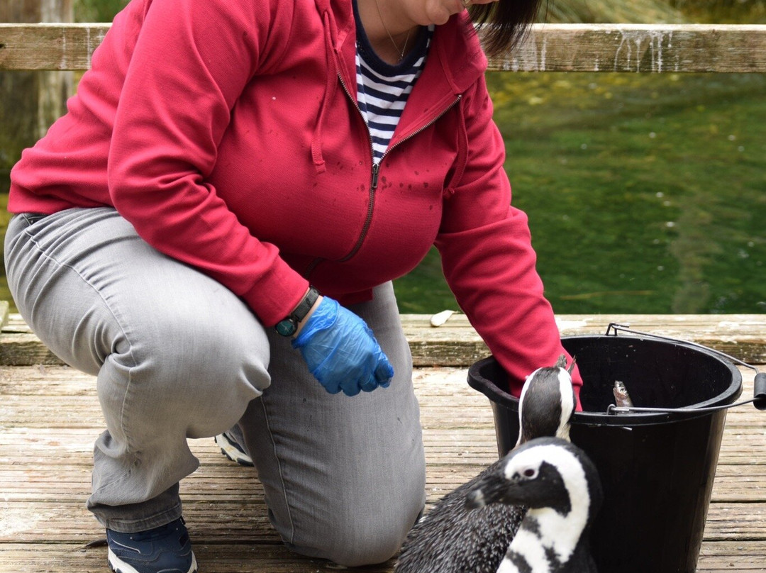 Birdworld-法纳姆必去景点