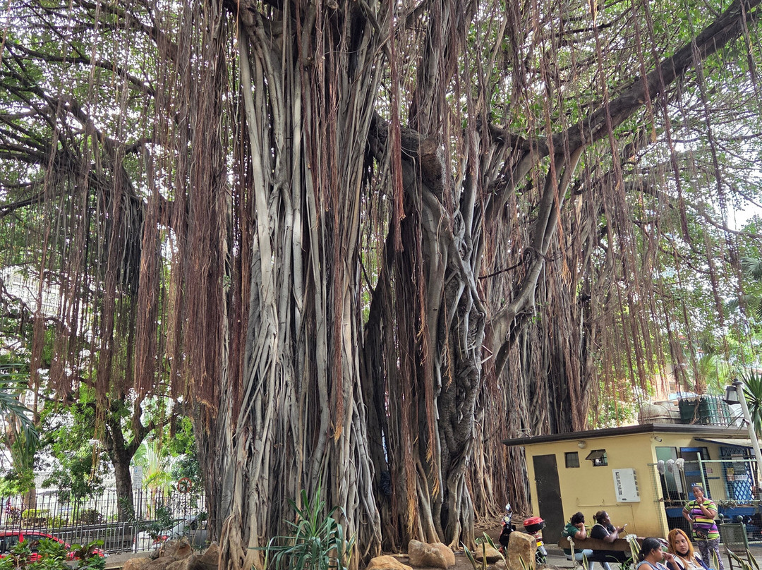 Les Jardins de la Compagnie-路易士港必去景点