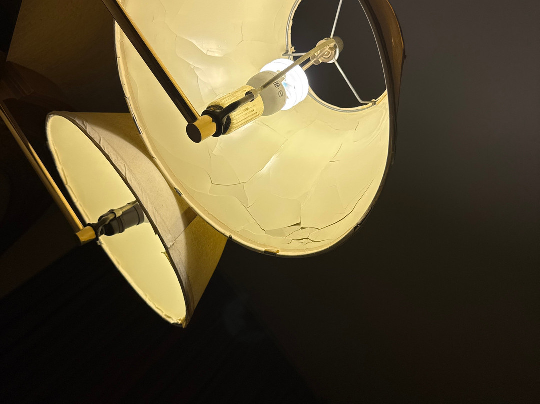 Best Western Plus Plaza Florida & Tower主图