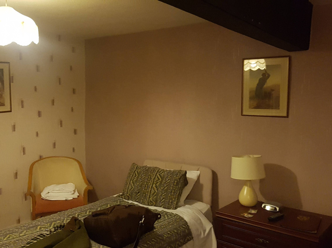 Owain Glyndwr Hotel主图