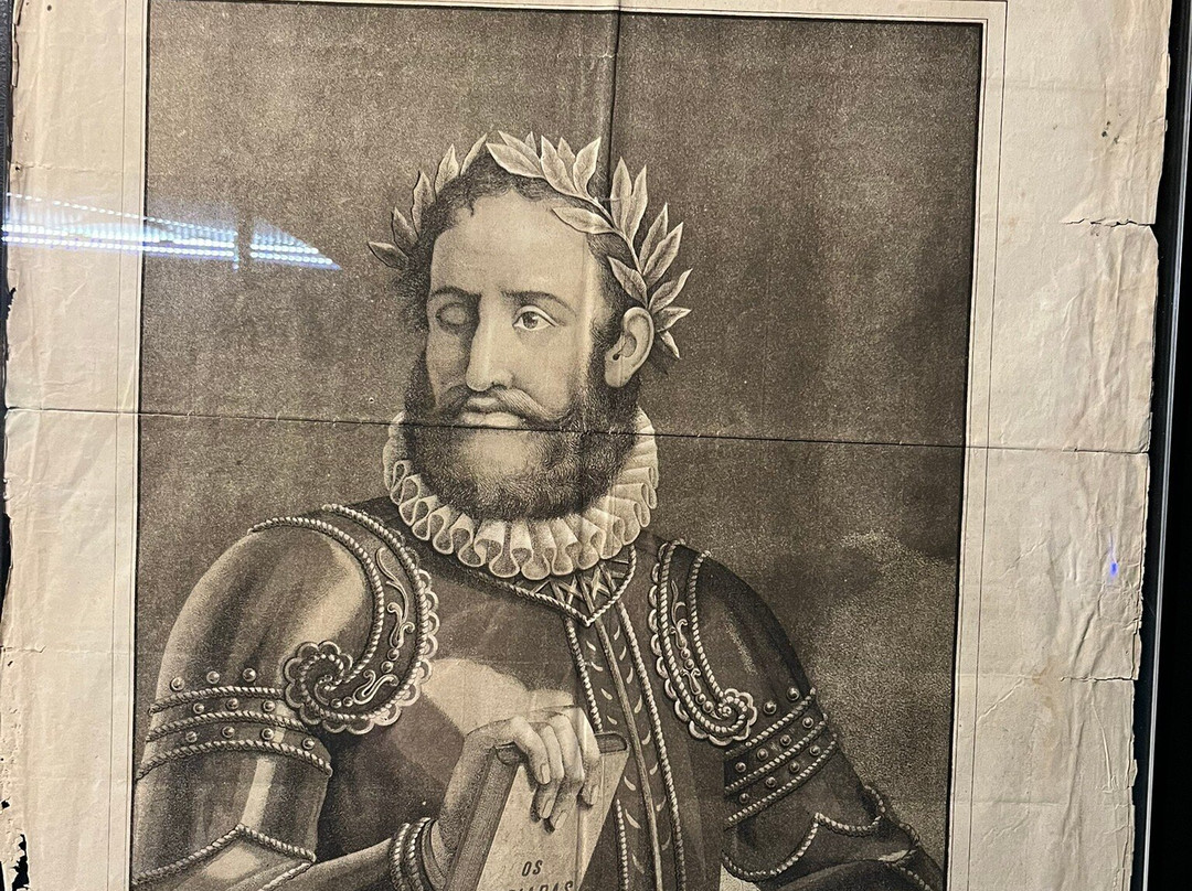 Neonia-波尔图必去景点