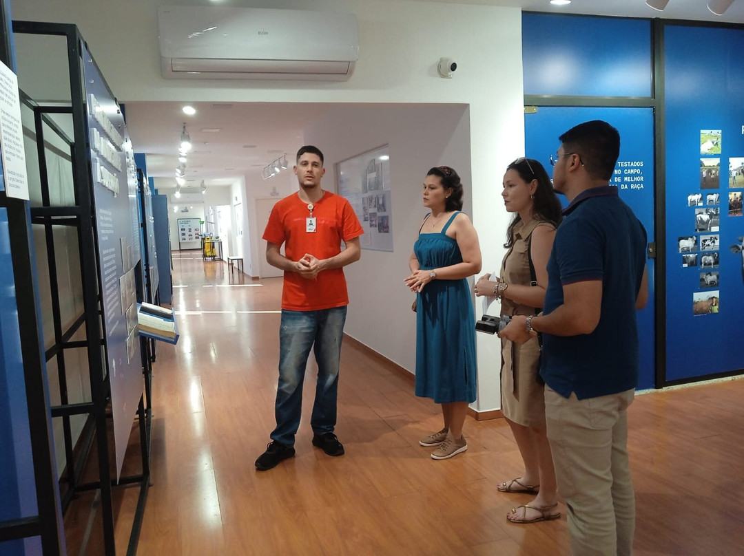 Memorial Grupo Cometa