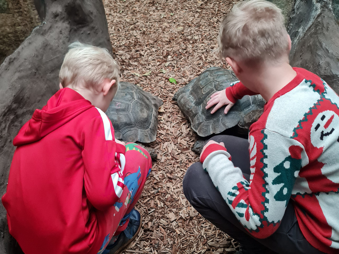 Krokodille Zoo-Eskilstrup必去景点