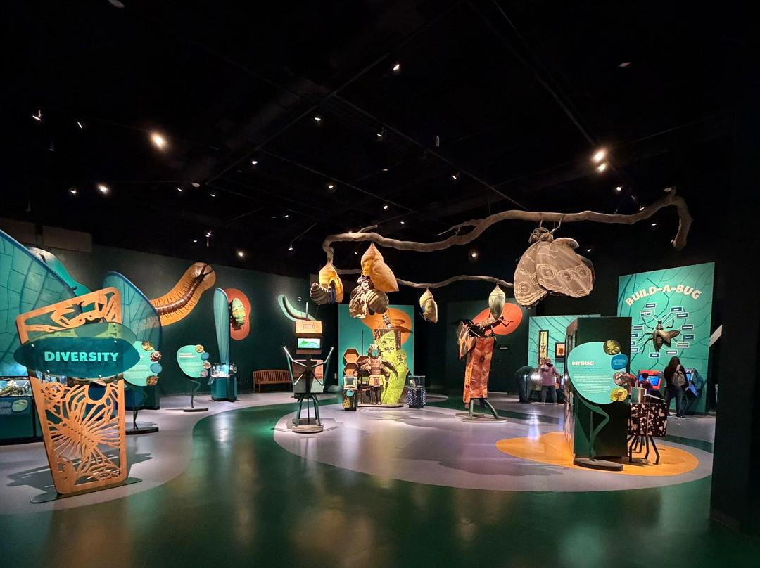 奥杜邦昆虫博物馆-新奥尔良必去景点