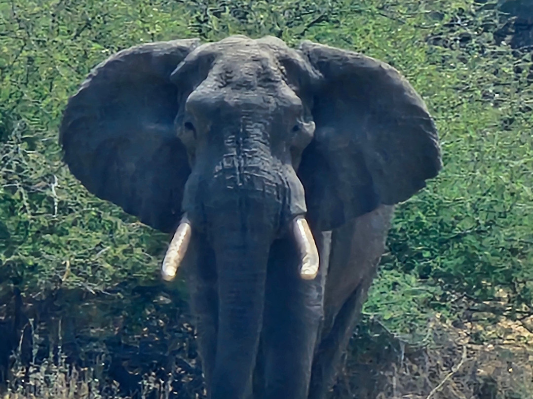 Tanzania Specialist-阿鲁沙必去景点