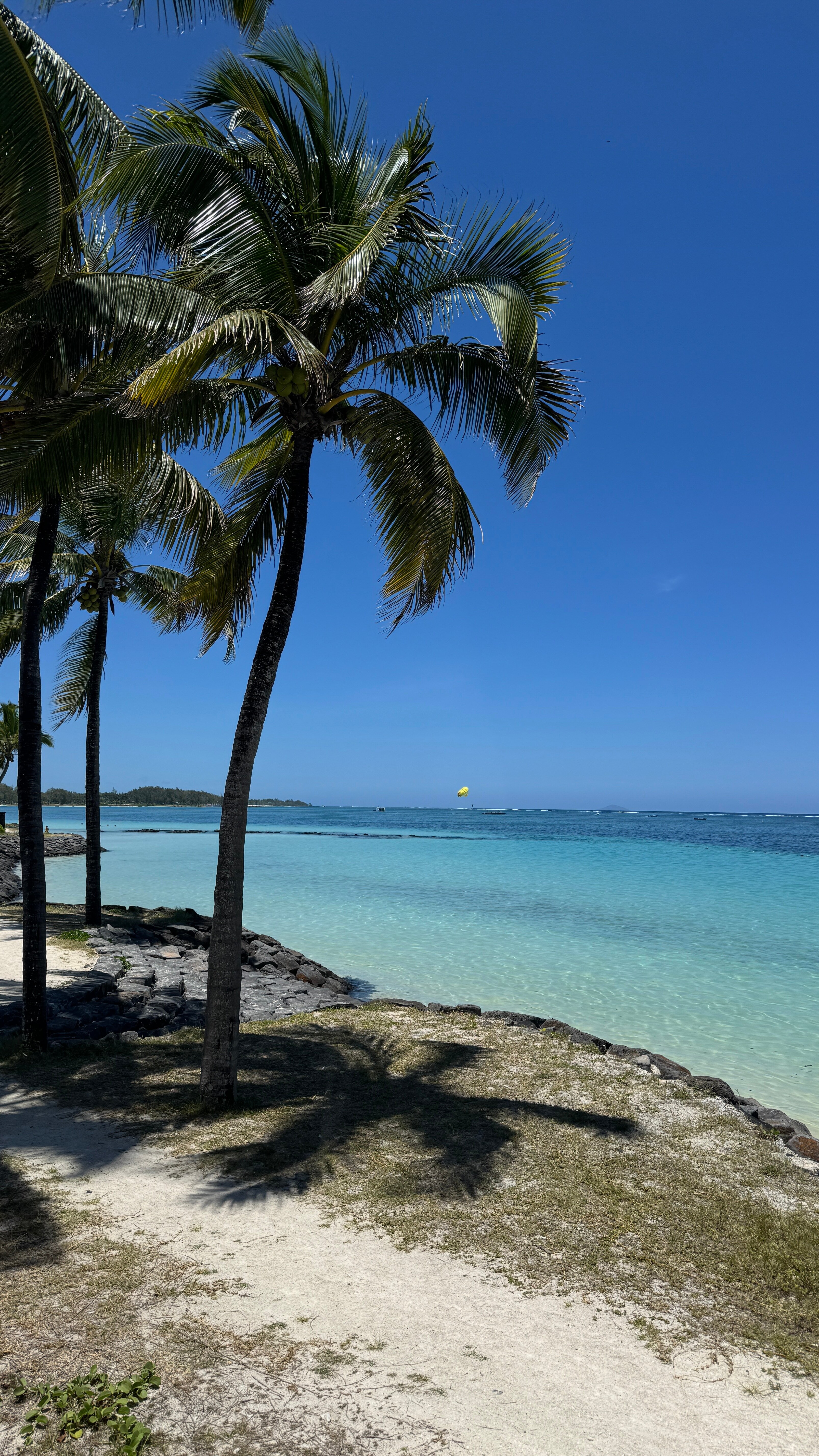 毛里求斯公馆-泳池