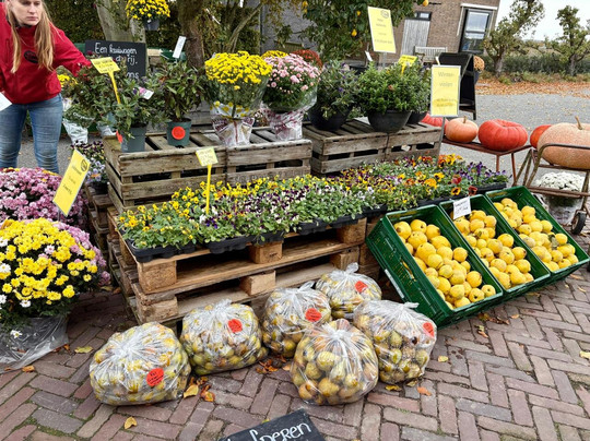 Vink Fruitboerderij-Kraggenburg必去景点