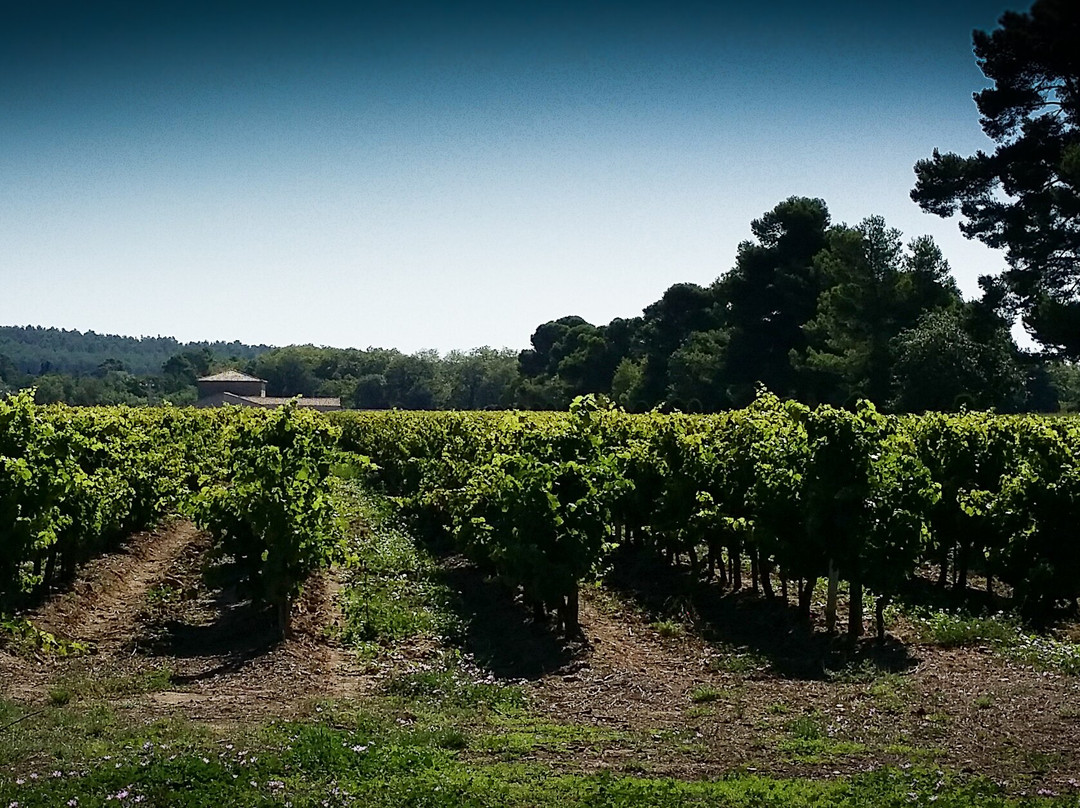 Villegly旅游景点-Domaine la Mijane