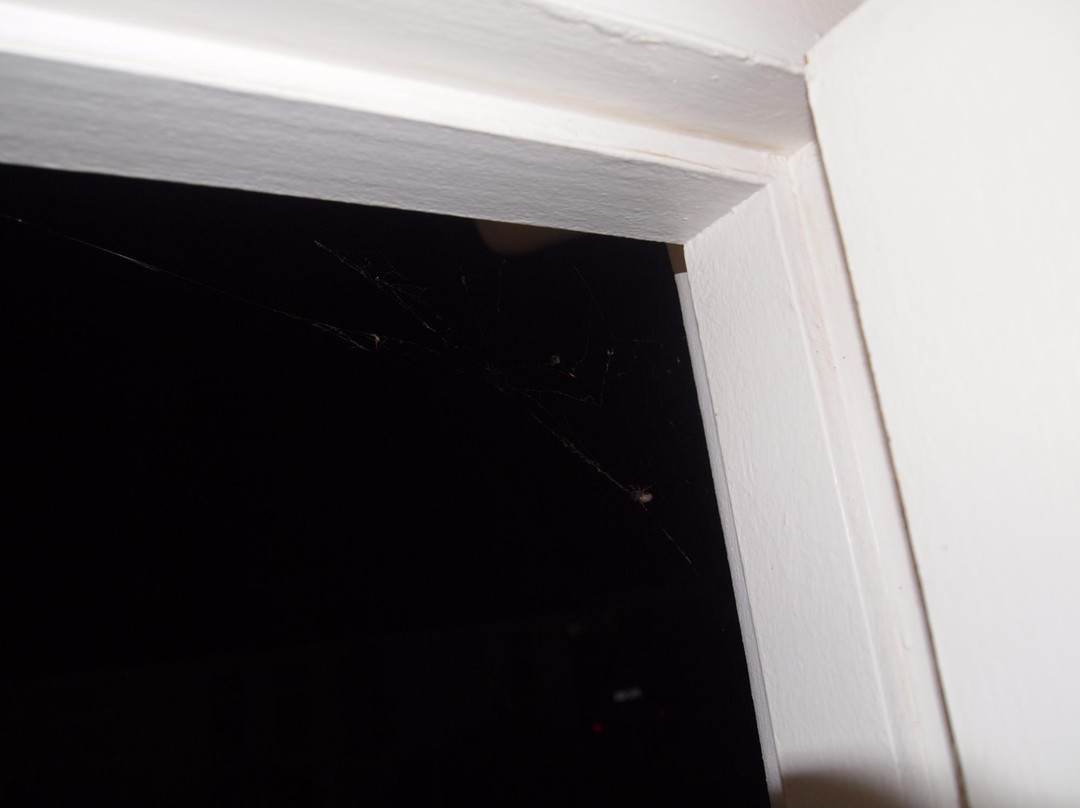 Mount Currie Inn主图