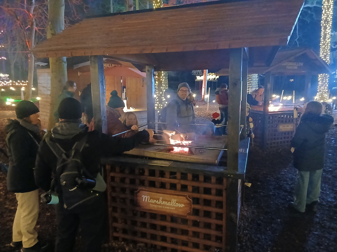 Audley End Miniature Railway-Saffron Walden必去景点