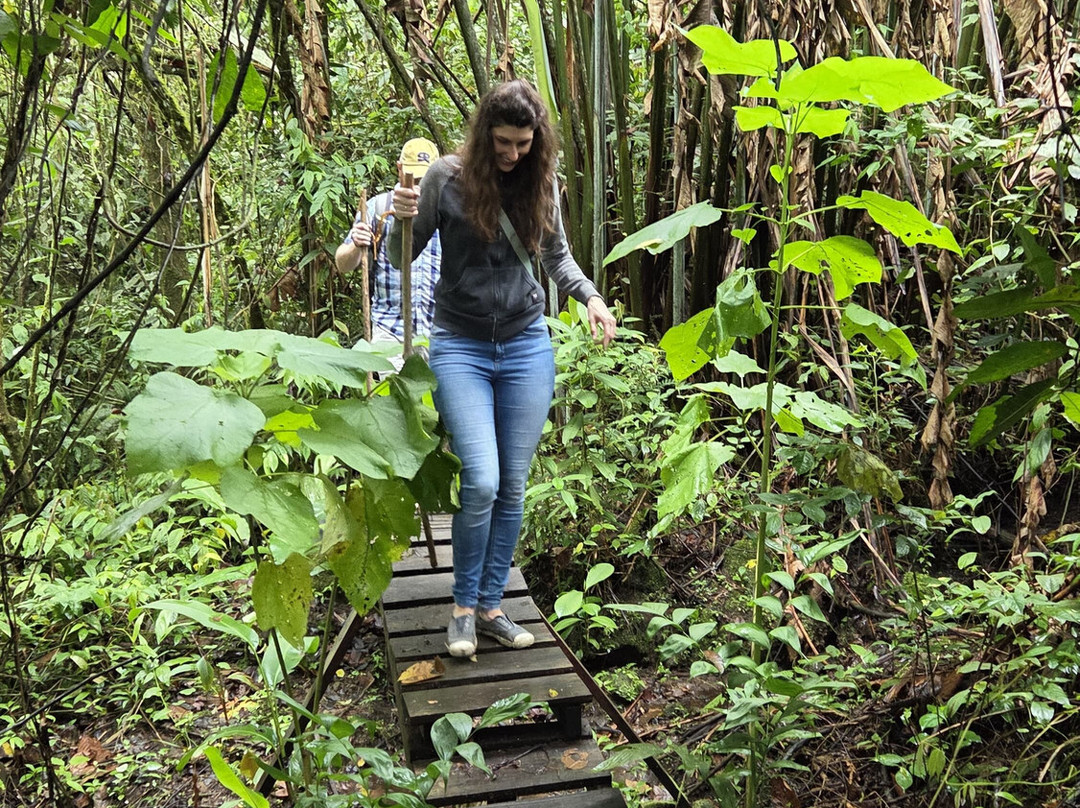 Kasaguadua Natural Reserve-萨伦托必去景点