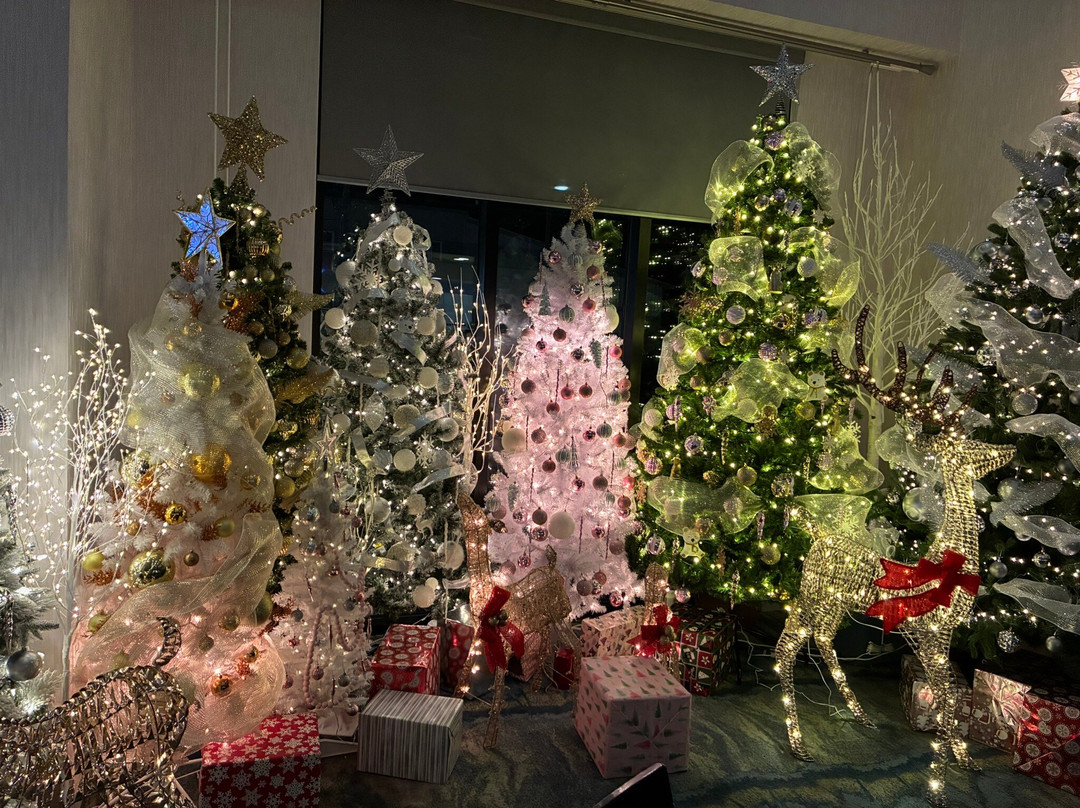 Chateau Fredericton, Trademark Collection by Wyndham主图