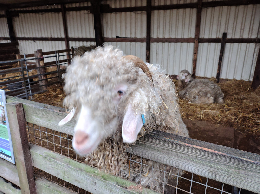 Thrift Farm-Whaddon必去景点