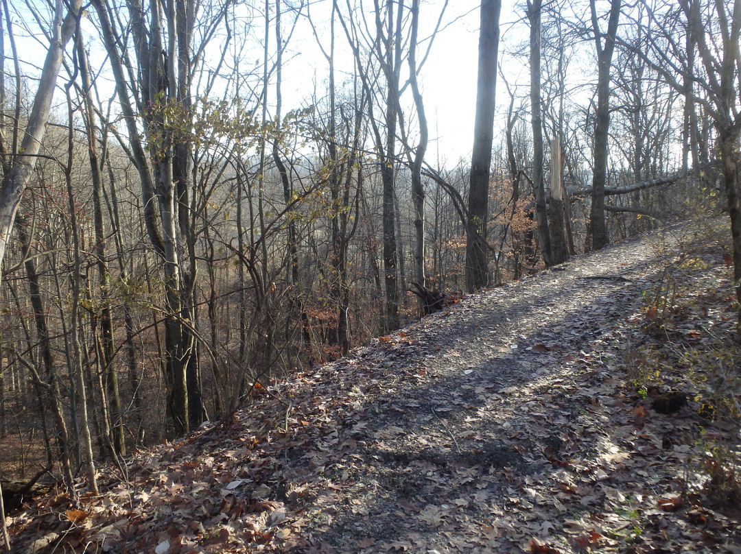 Norma Johnson Center-Dover必去景点