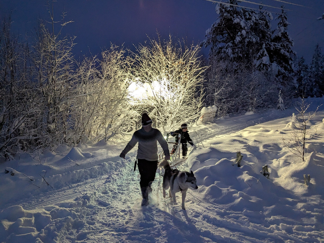 Ilonka Farm & Cafe-伊瓦洛必去景点