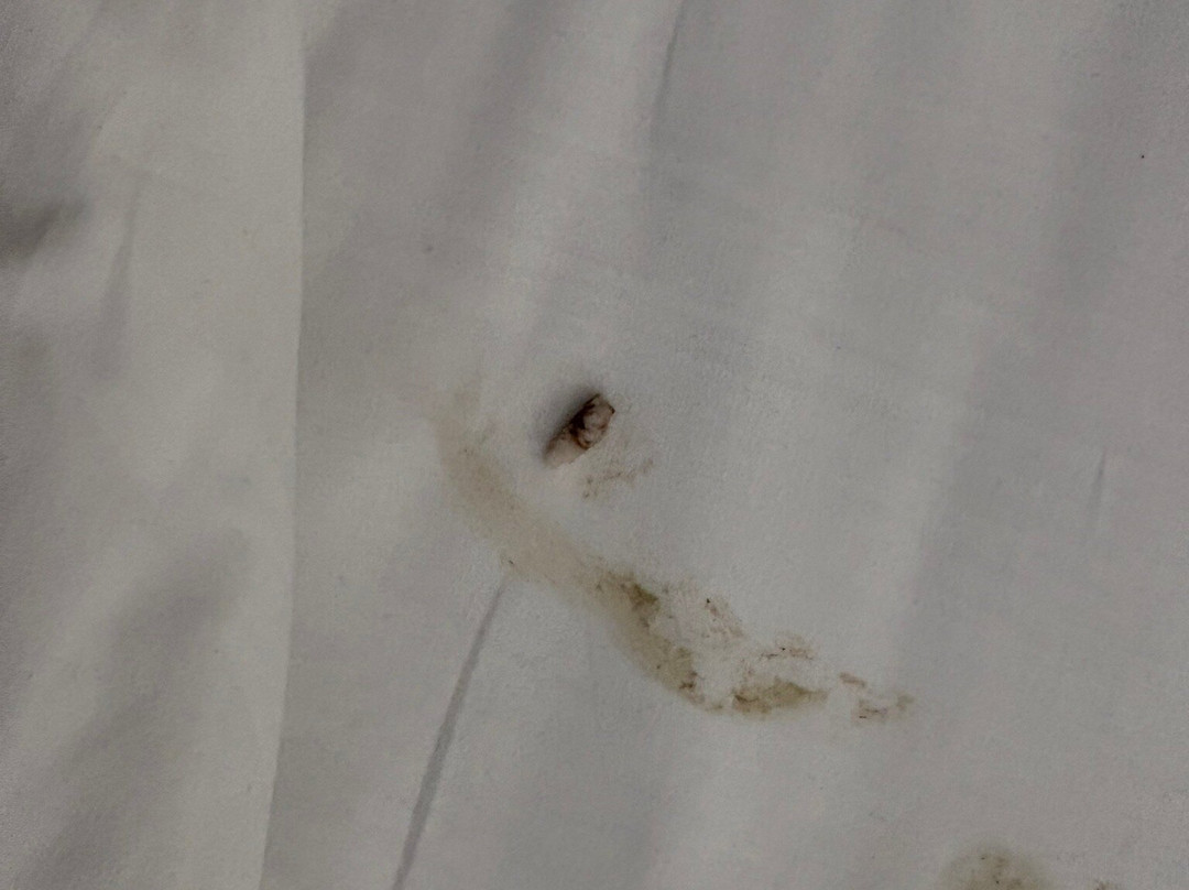 阿尔卡酒店主图