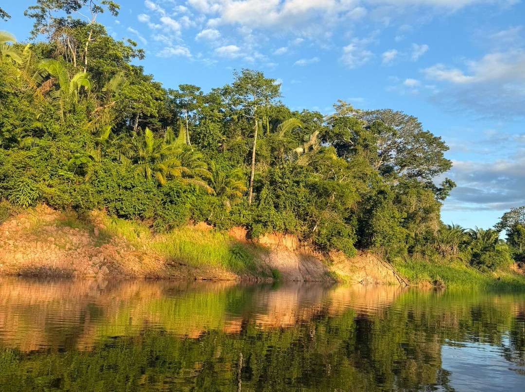 Amazon Green Tours-玛瑙斯必去景点
