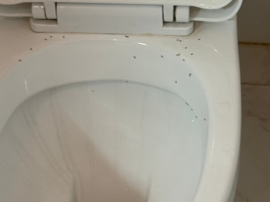 Talalla Beach Bungalows主图