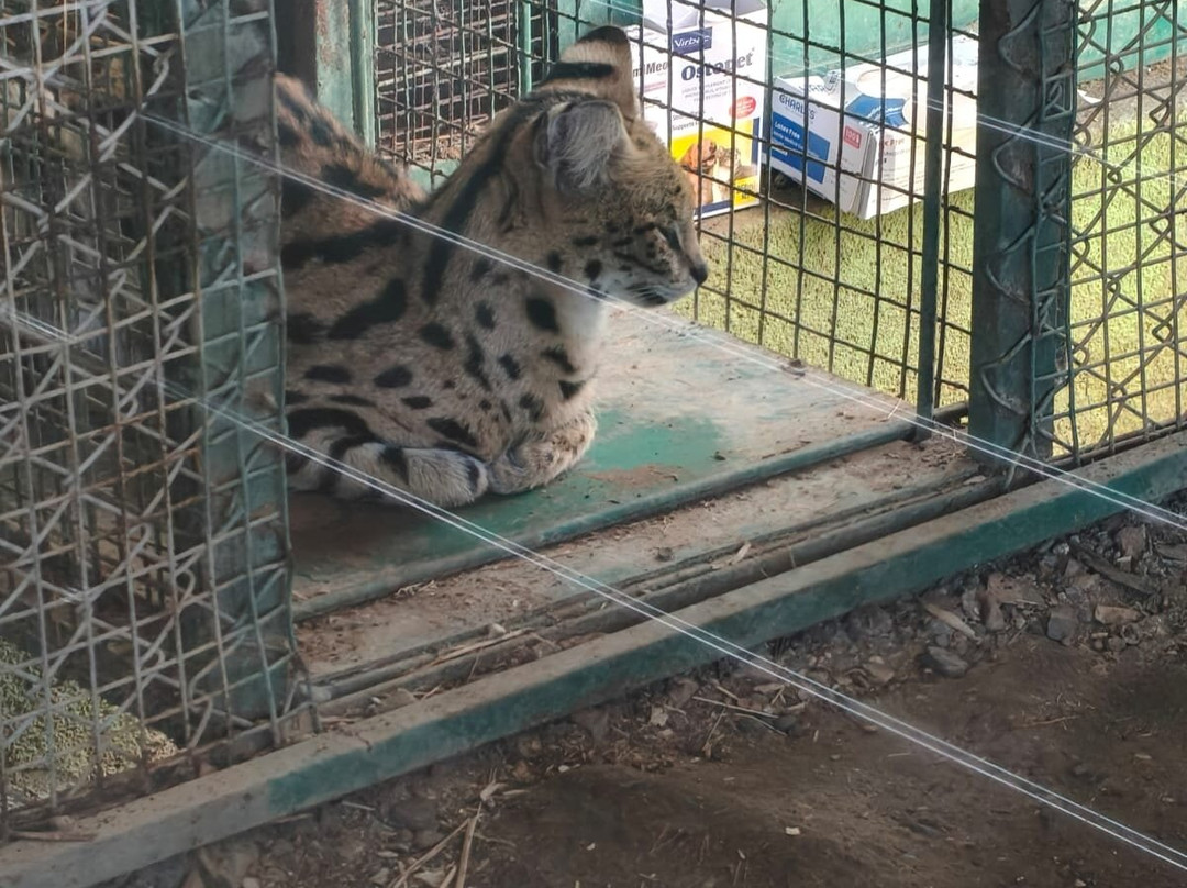 Sardar Patel Zoological Park-Kevadia必去景点