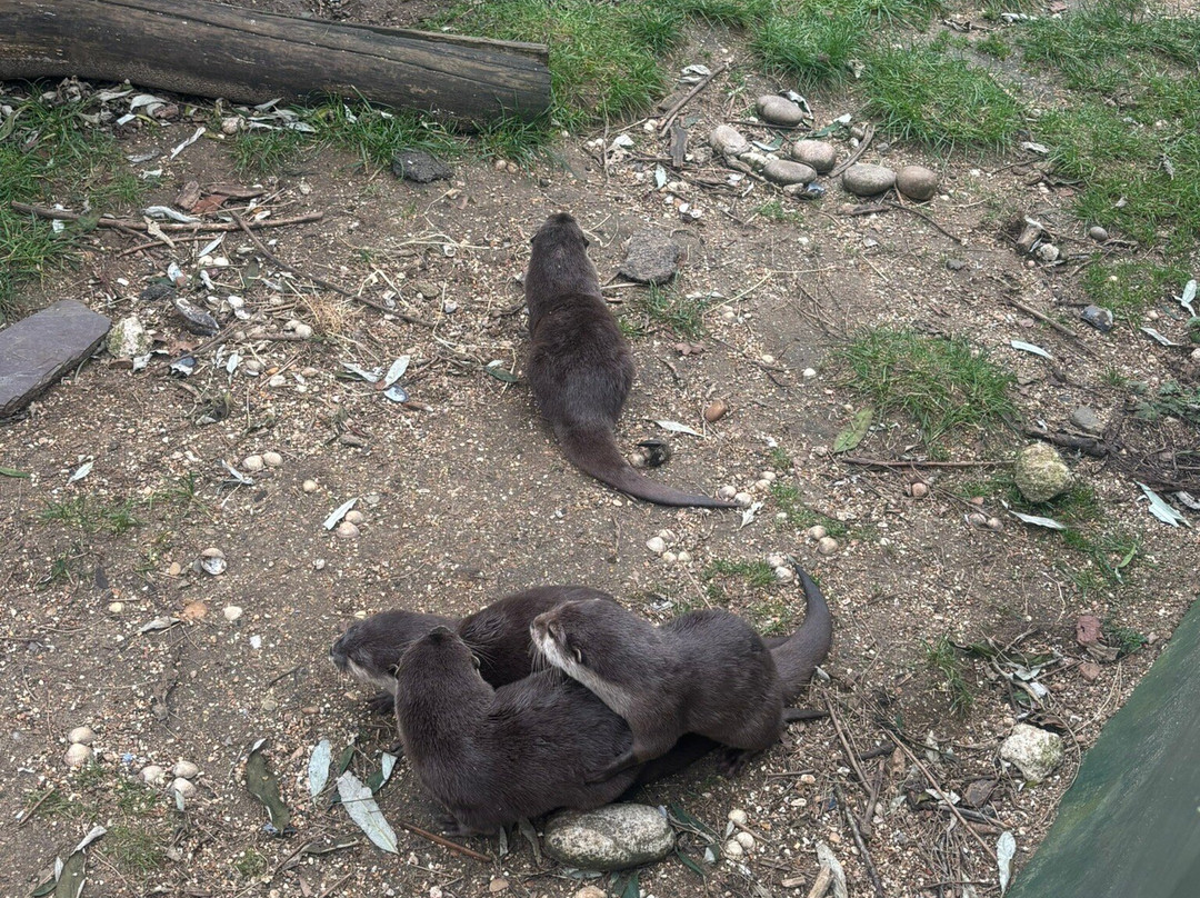 比尔公园-雷丁必去景点