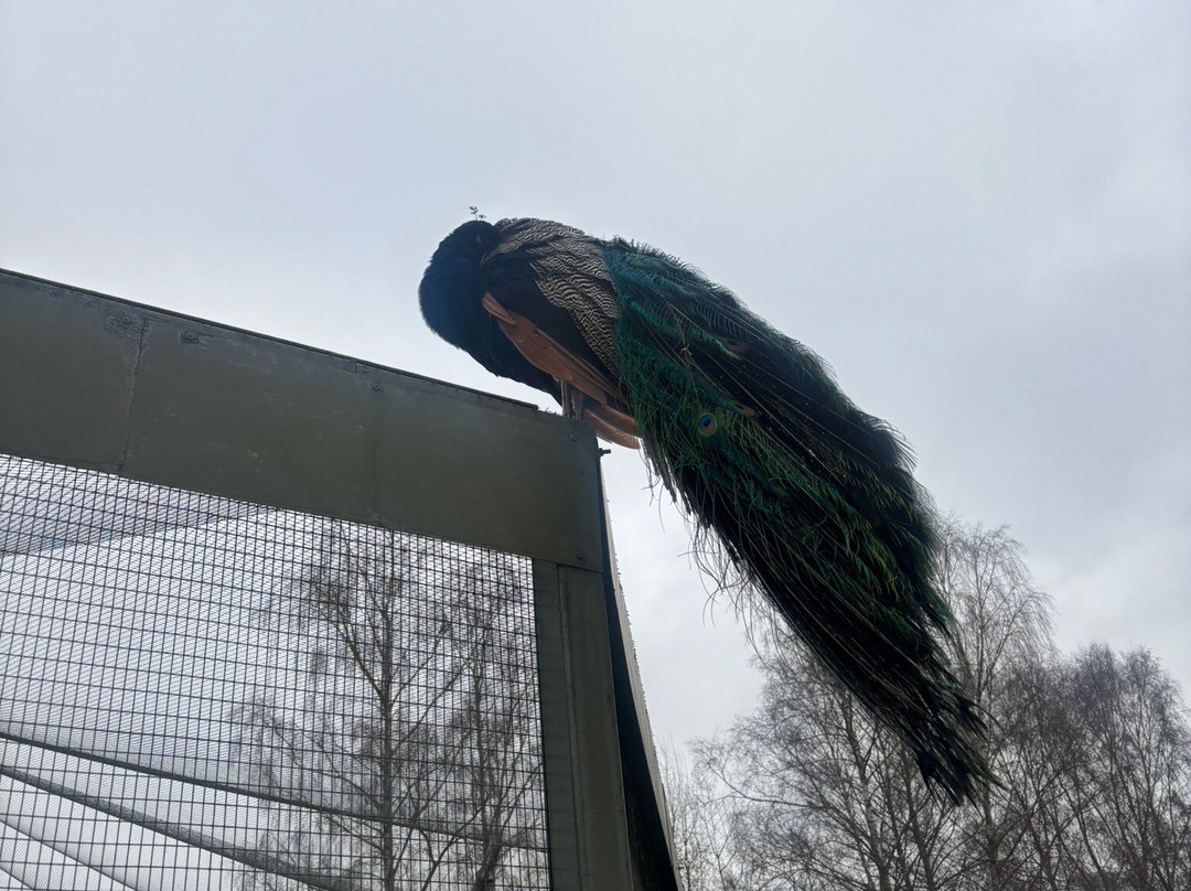 比尔公园-雷丁必去景点