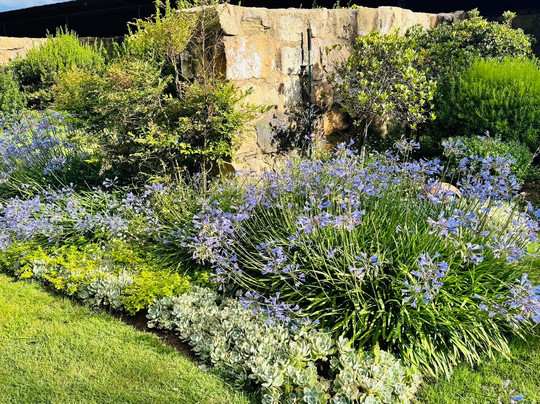 Baris Guesthouse主图