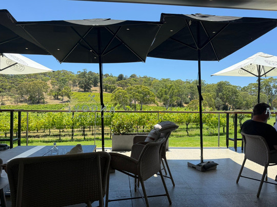 Angove McLaren Vale Cellar Door-麦克拉伦谷必去景点