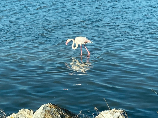 Plage des Aresquiers-Frontignan必去景点