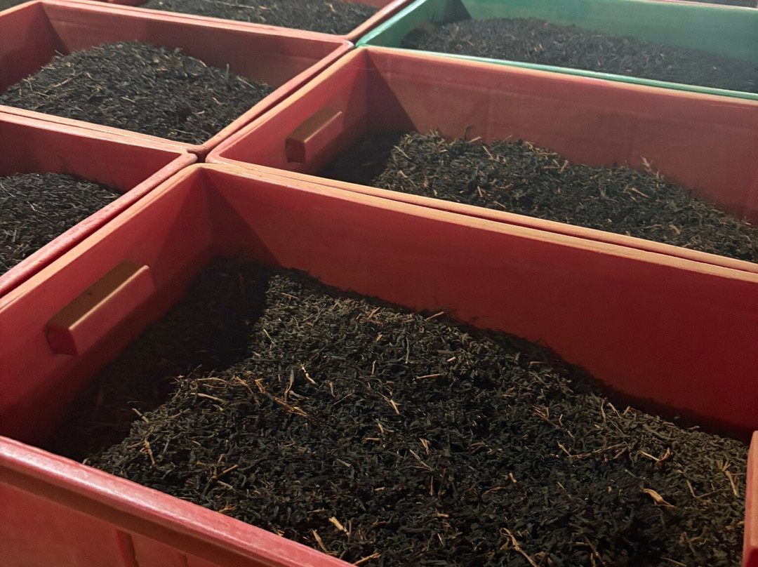 Tsara Tea-Akuressa必去景点