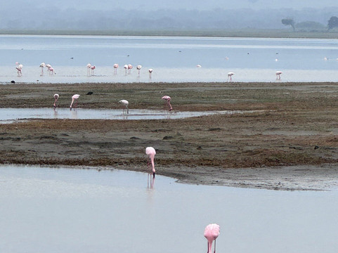 Ahsante Tours-莫西必去景点