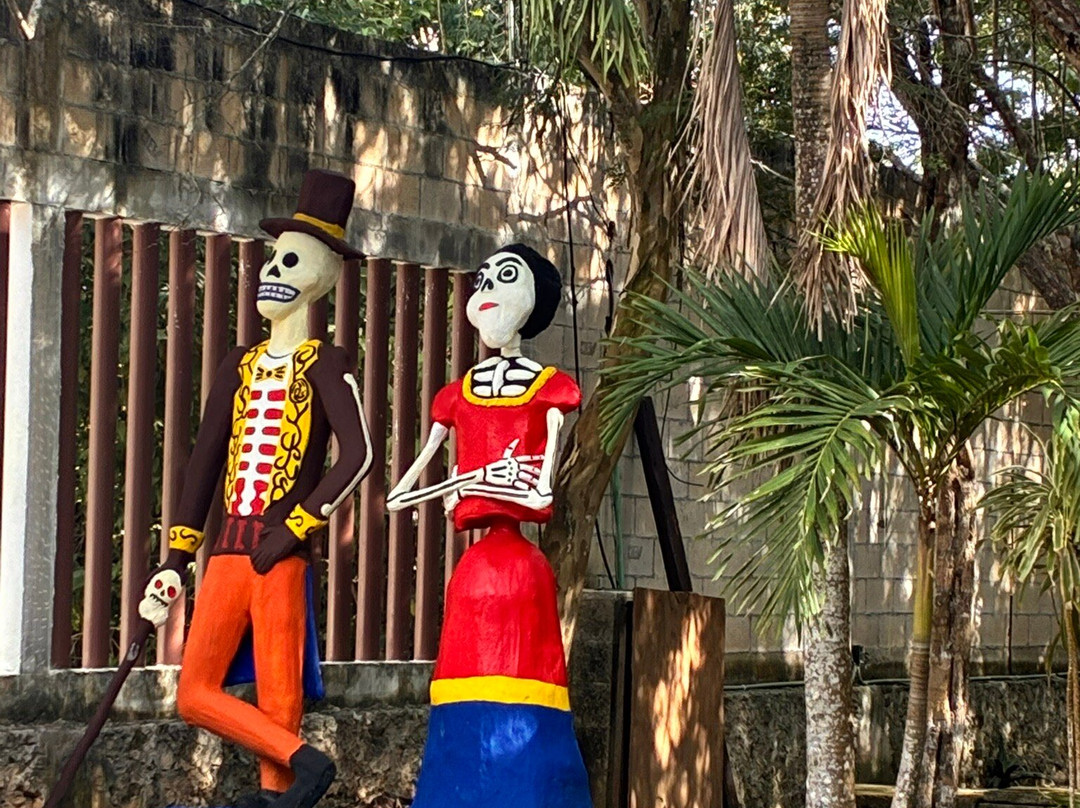 Cenote Zacil-Ha-图伦必去景点