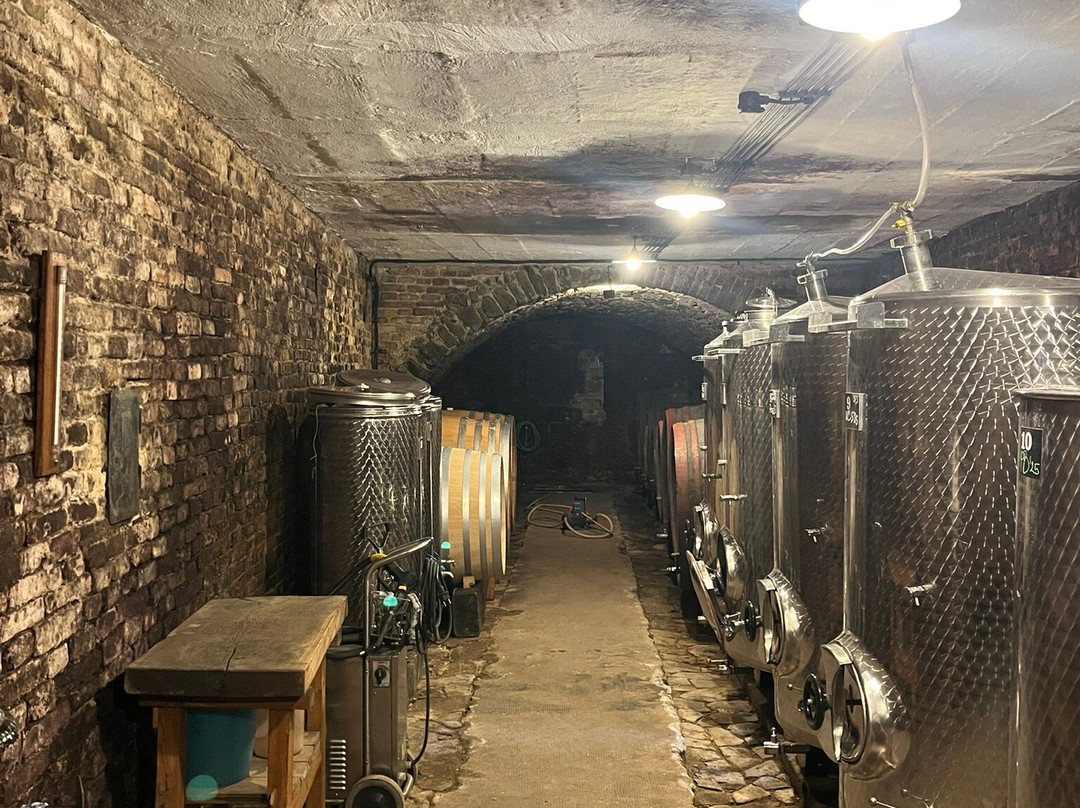 Vino Fiala-Modra必去景点