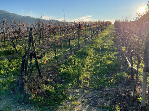 aDayinDouro-波尔图必去景点