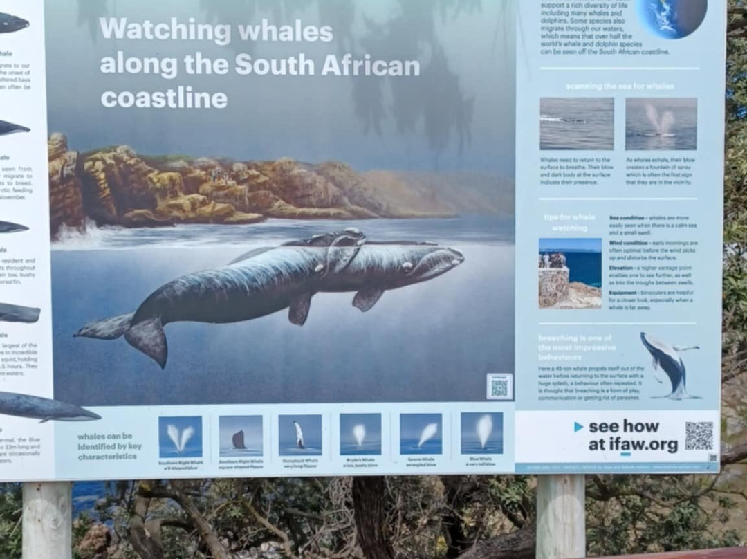 Gearing's Point-赫曼努斯必去景点