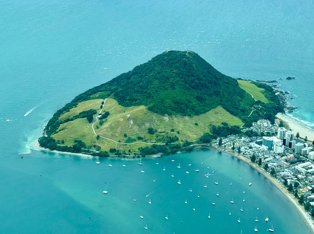 Tauranga Scenic Flights-陶兰加必去景点