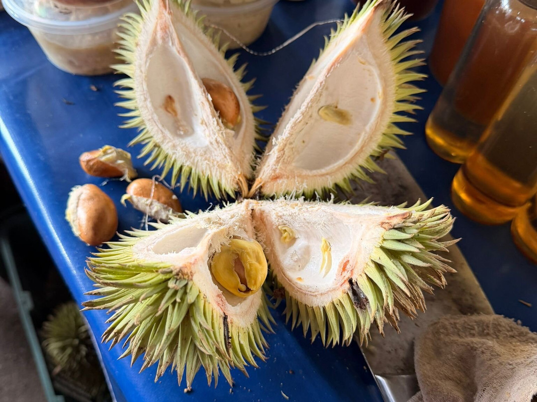 Satok Weekend Market-古晋必去景点