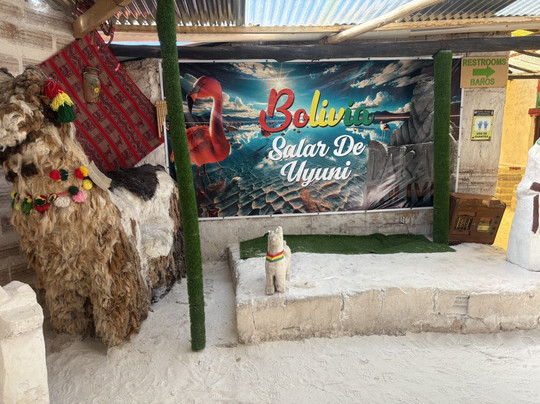 sajama expediciones-圣佩德罗-德阿塔卡马必去景点