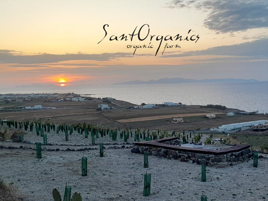 Sant Organics-伊亚必去景点