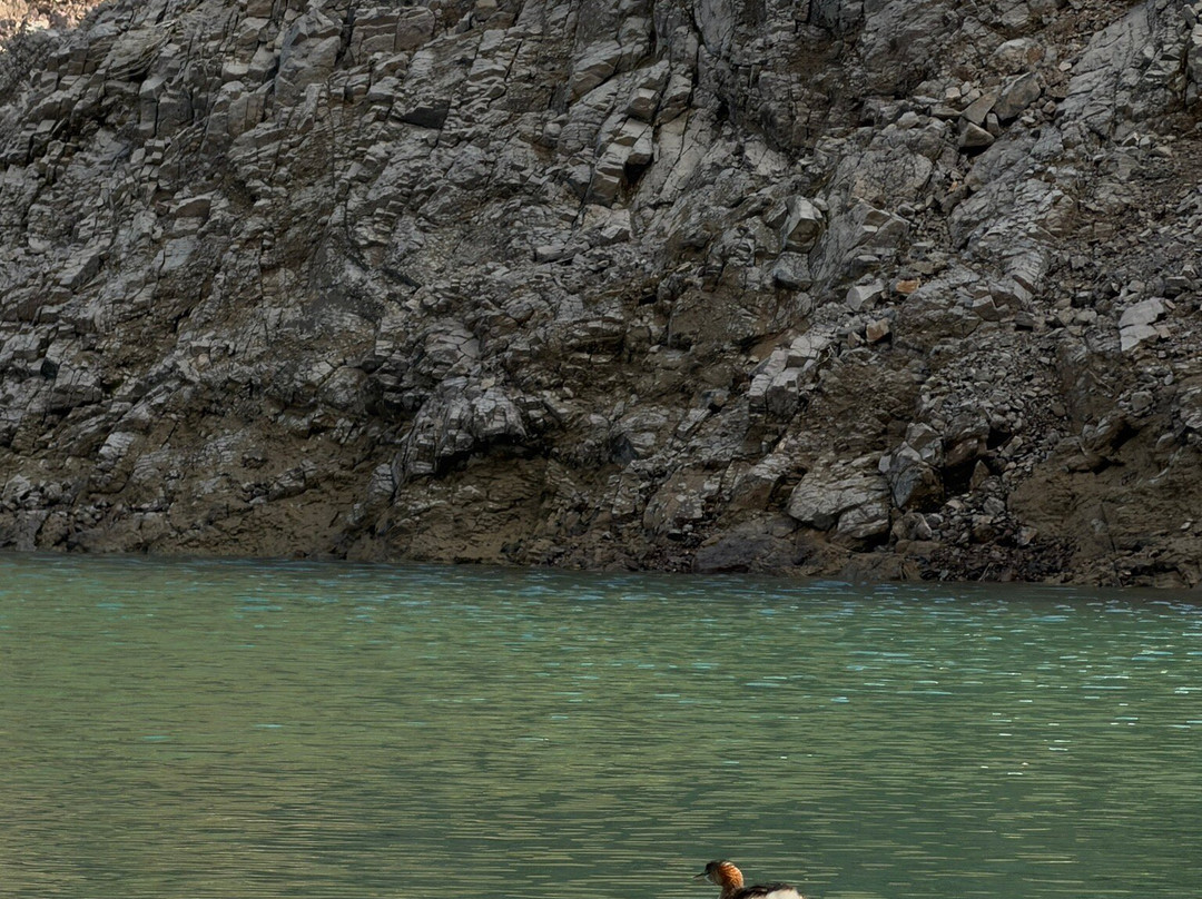 Hatta Kayak-迪拜必去景点