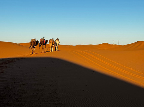 Sublime Desert-迈哈米德必去景点