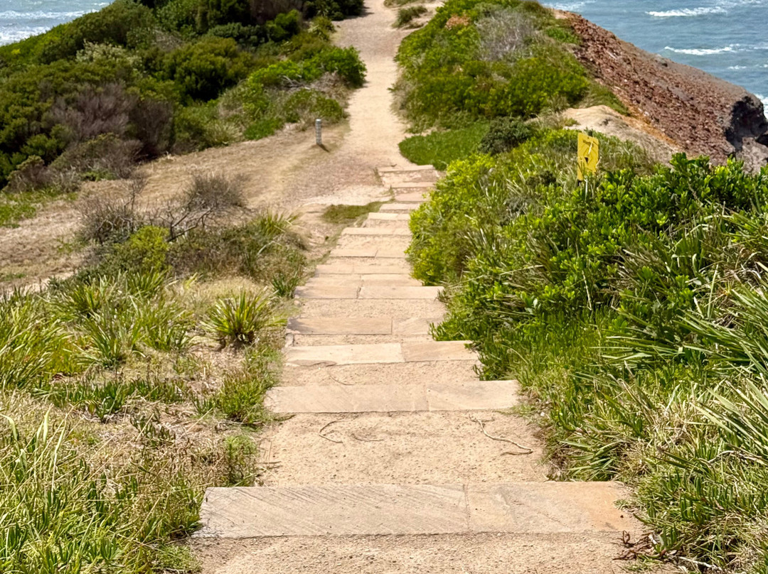 Long Reef Point-Collaroy Beach必去景点